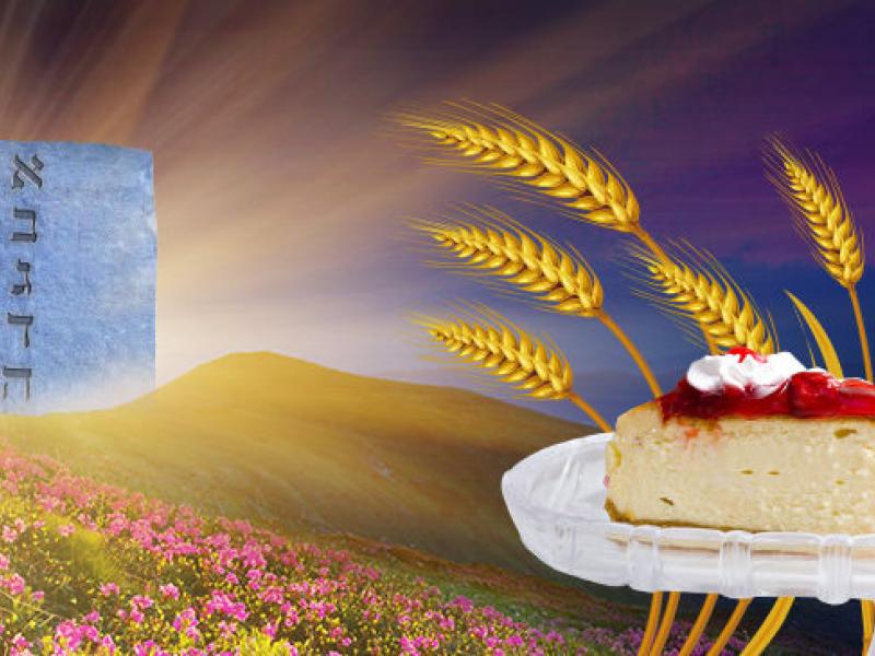 Shavuos experience may 31